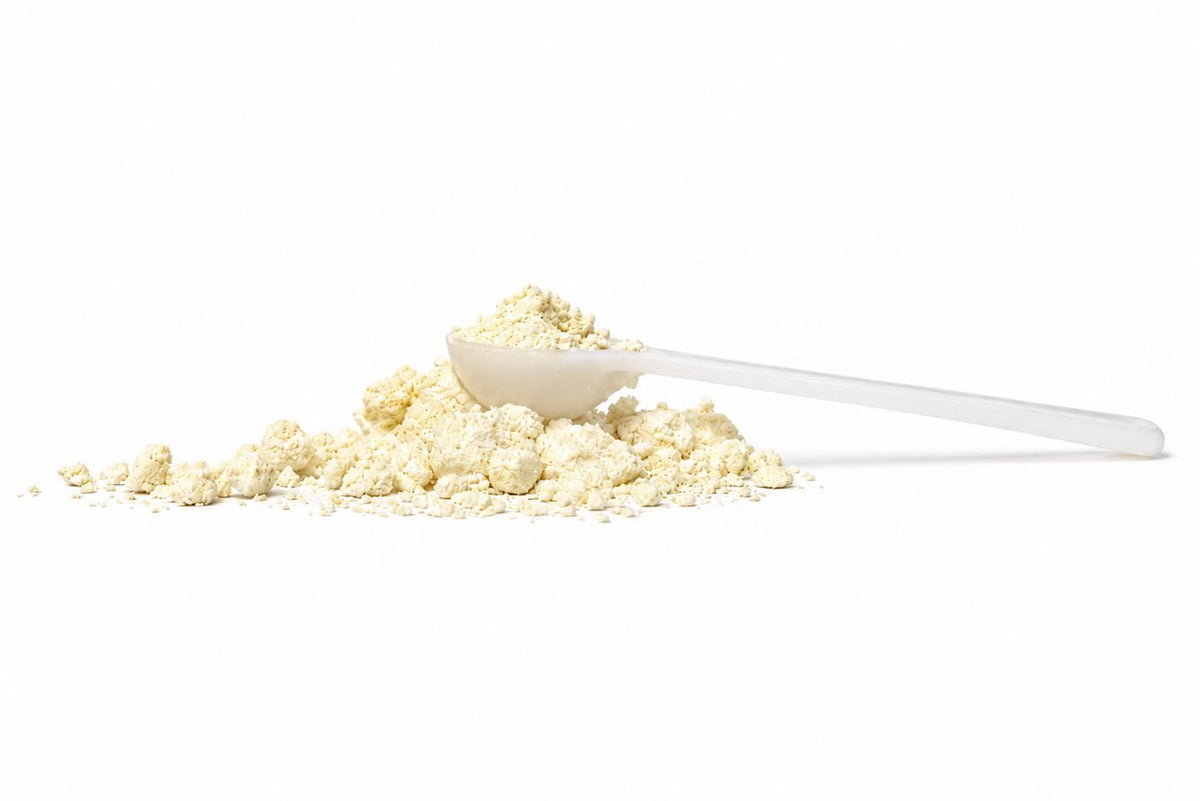The PupRx scoop, full of colostrum powder