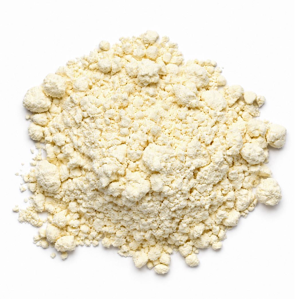 Colostrum powder seen from above, with the PupRx scoop resting in it